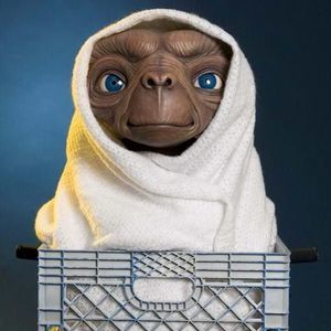 Meet your Posher, Darren